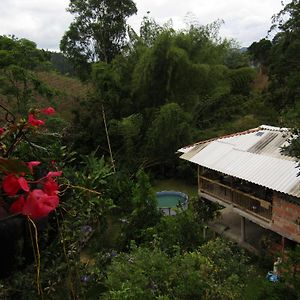 Alojamiento Rural Pajaros Y Flores Los Andes  Exterior photo