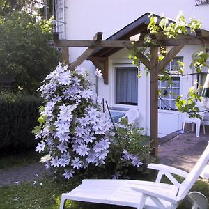 Ferienwohnung Haus Wehrbuesch Kyllburg Exterior photo