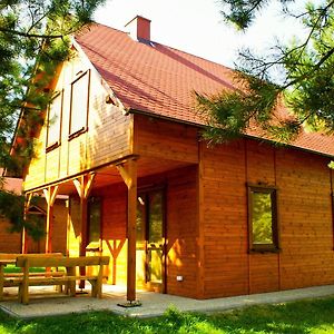 Kociewiak Wycinki Villa Exterior photo