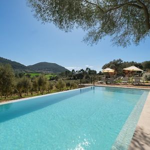 Fincahotel Treurer - Olive Grove & Grand House - Adults Only Algaida  Exterior photo