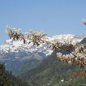 Beautiful Appartment In Les Diablerets Exterior photo