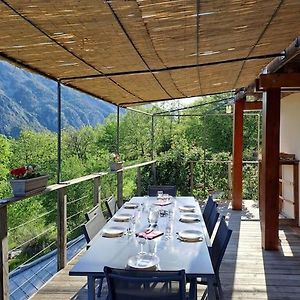 Fraicheur, Piscine Et Hamac Entre Miroirs Et Loup. Villa Greolieres Exterior photo