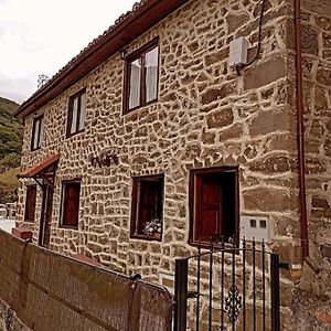 Las Monas Casa Rural Pola de Lena Exterior photo