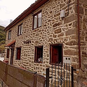 Las Monas Casa Rural Villa Pola de Lena Exterior photo