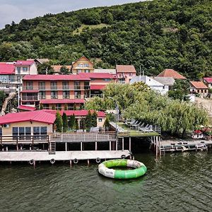 Pensiunea Leonardo Hotel Moldova Veche Exterior photo