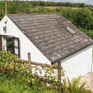 A Cosy Hideaway On The Jurassic Coast Villa Lyme Regis Exterior photo