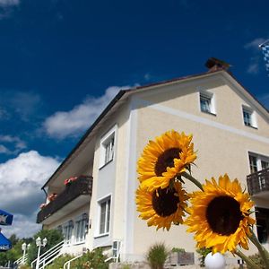 Landgasthof Am Sonnenhang Hotel Vohenstrauss Exterior photo