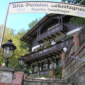 Bilz-Pension Hotel Radebeul Exterior photo