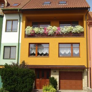 Kupkova Ubytovani V Soukromi Apartment Brno Exterior photo