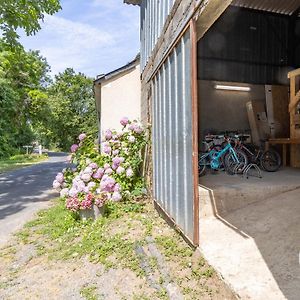 Maison De Vacances Renovee Sur L'Ile Fluviale De Chalonnes, Terrasse, Bbq, Pret De Velos - Fr-1-622-61 Villa Exterior photo