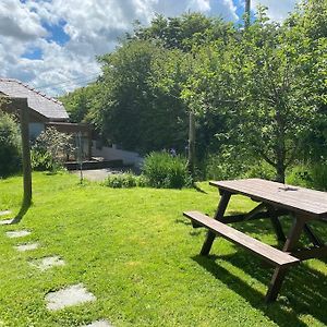 Quirky Cottage With Private Garden Nr New Quay Cardigan Bay Llandysul Exterior photo