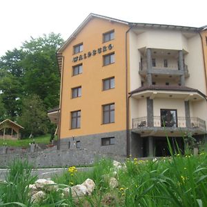 Pension Waldburg Hotel Risnov Exterior photo