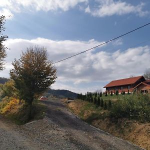 Cabana Valea Popii Hotel Sita Buzaului Exterior photo