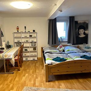 Privatzimmer Mit Eigenem Bad Und Blick Auf Den Rhein Apartment Osterspai Exterior photo