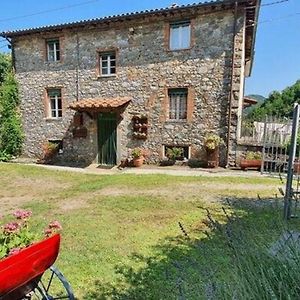 Ferienhaus Mit Privatpool Fuer 6 Personen Ca 155 Qm In Pescaglia, Toskana Provinz Lucca Villa Exterior photo