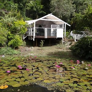 Eumundi Yacht Club B&B Exterior photo