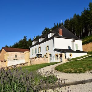 Le Domaine De La Source Hotel Chauffailles Exterior photo