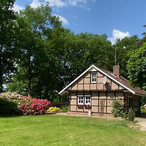 Hexenhaeuschen Im Ammerland Villa Apen Exterior photo