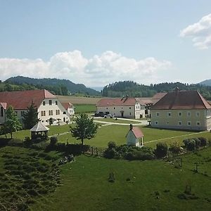 Gut Keutschachhof Apartment Sankt Veit an der Glan Exterior photo