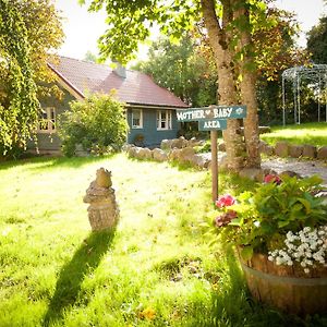 Slieve Aughty Centre Bed & Breakfast Loughrea Exterior photo