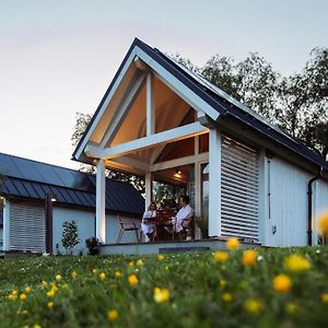 Tiny House - Optioneel Met Hottub Apartment Dokkum Room photo