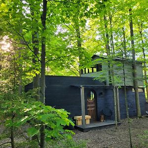 Black Pine Tree House Hotel Acton Exterior photo