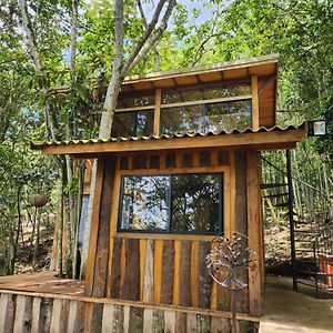 Zen Oasis Del Bosque Casa Arbol Hotel Calima Exterior photo