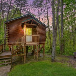 Blue Rose Cabins - Treetops Cabin Logan Exterior photo