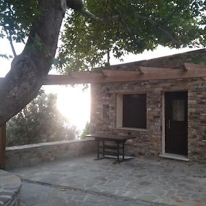 House In Vrakades Village Kouniadi Exterior photo