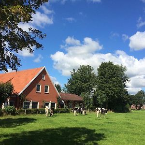 Tolles Ferienhaus Fuer 18 Personen In Ostfriesland Mit Kino, Bar, Sauna Und Whirlpool - A57587 Villa Backemoor Exterior photo