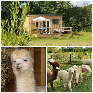 Dartmoor Reach Alpaca Farm Heated Cabins 5 Mins Drive To Dartmoor Villa Bovey Tracey Exterior photo
