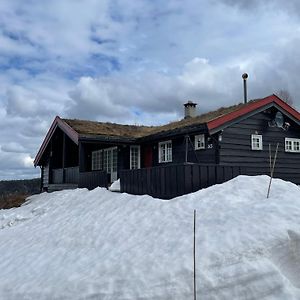 Middagslia - Cabin At Skrim With Amazing View Villa Omholt Exterior photo