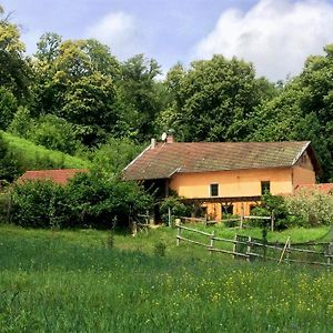 Le Mas De Planaise Bed & Breakfast Saint-Jean-d'Avelanne Exterior photo