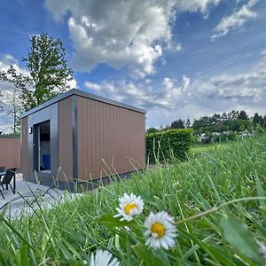 Feriendorf Seeblick - Tinyhouse Direkt Am See Villa Neunburg vorm Wald Exterior photo