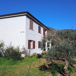 Villa Federica La Tua Oasi Personale In Sardegna Loceri Exterior photo