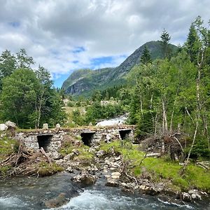 Haukedalen Mountain Panorama River View Villa Holsa Exterior photo