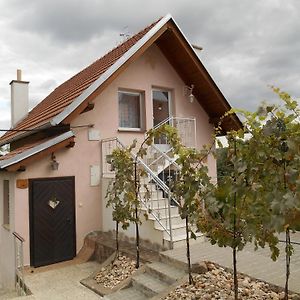 Ubytovani U Rybnika Boretice Hotel Exterior photo