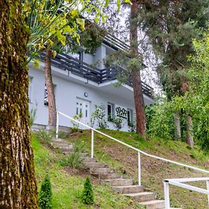 Penzion Stalica Hotel Prievidza Exterior photo