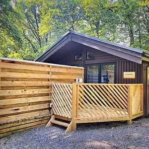 The Stag & Squirrel Lodge Carmarthen Exterior photo