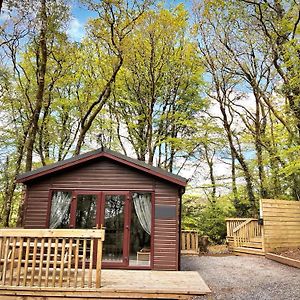 Woodland View -Hot Tub-Tenby-Carmarthen-St Clears Exterior photo