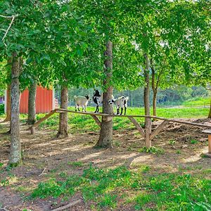 Almost Heaven Too 50-Acre Escape With Pond! Brownsville Exterior photo