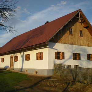 Grafonzeva Domacija Villa Zgornja Scavnica Exterior photo