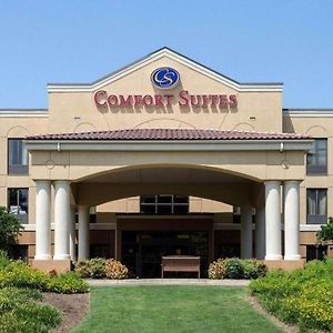 Comfort Suites Starkville Exterior photo