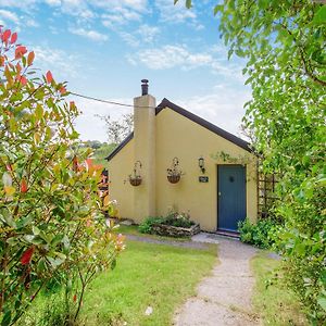 Willow Tit Cottage Capel-Cynon Exterior photo