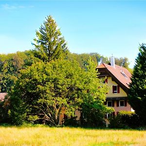 Nisihof, Landluft Bed & Breakfast Oberkirch Exterior photo