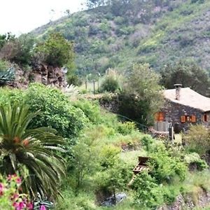 Freistehendes Ferienhaus La Maleza In La Palmita Villa Agulo Exterior photo