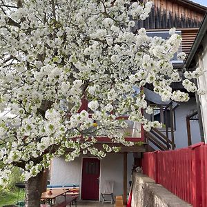 Obertraum Appartement Und Ferienwohnung Solnhofen Exterior photo