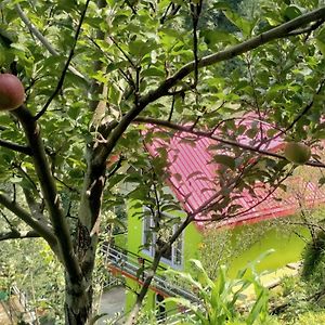 Apple Blossom Hideaway Narkanda Apartment Shimla Exterior photo