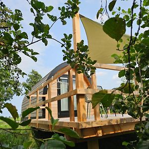 Tiny House De Skierroek Hotel Westergeest Exterior photo