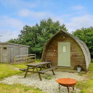 Badger Set Penbugle Organic Farm Villa Liskeard Exterior photo